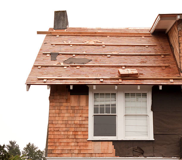 Best Storm Damage Siding Repair  in Cresson, TX